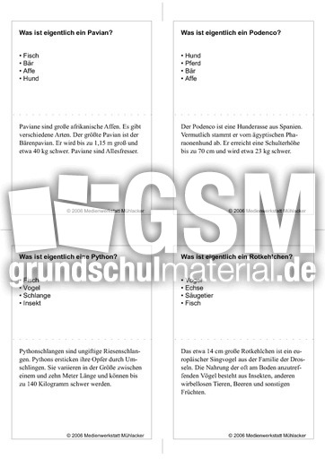 Quiz-Karten-Tiernamen 38.pdf